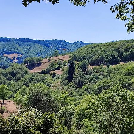 Maison Charmante A Florentin La Capelle Avec Jardin Et Vue Montagne ภายนอก รูปภาพ